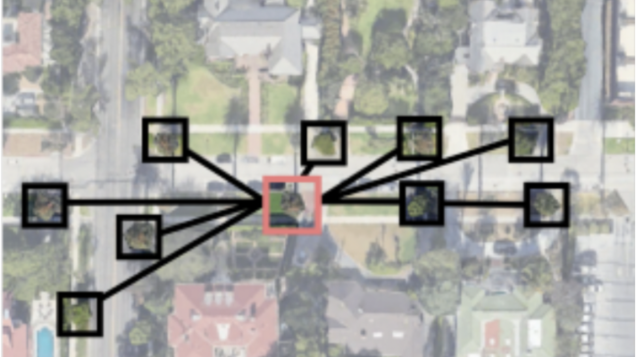Tree Genus Classification thumbnail